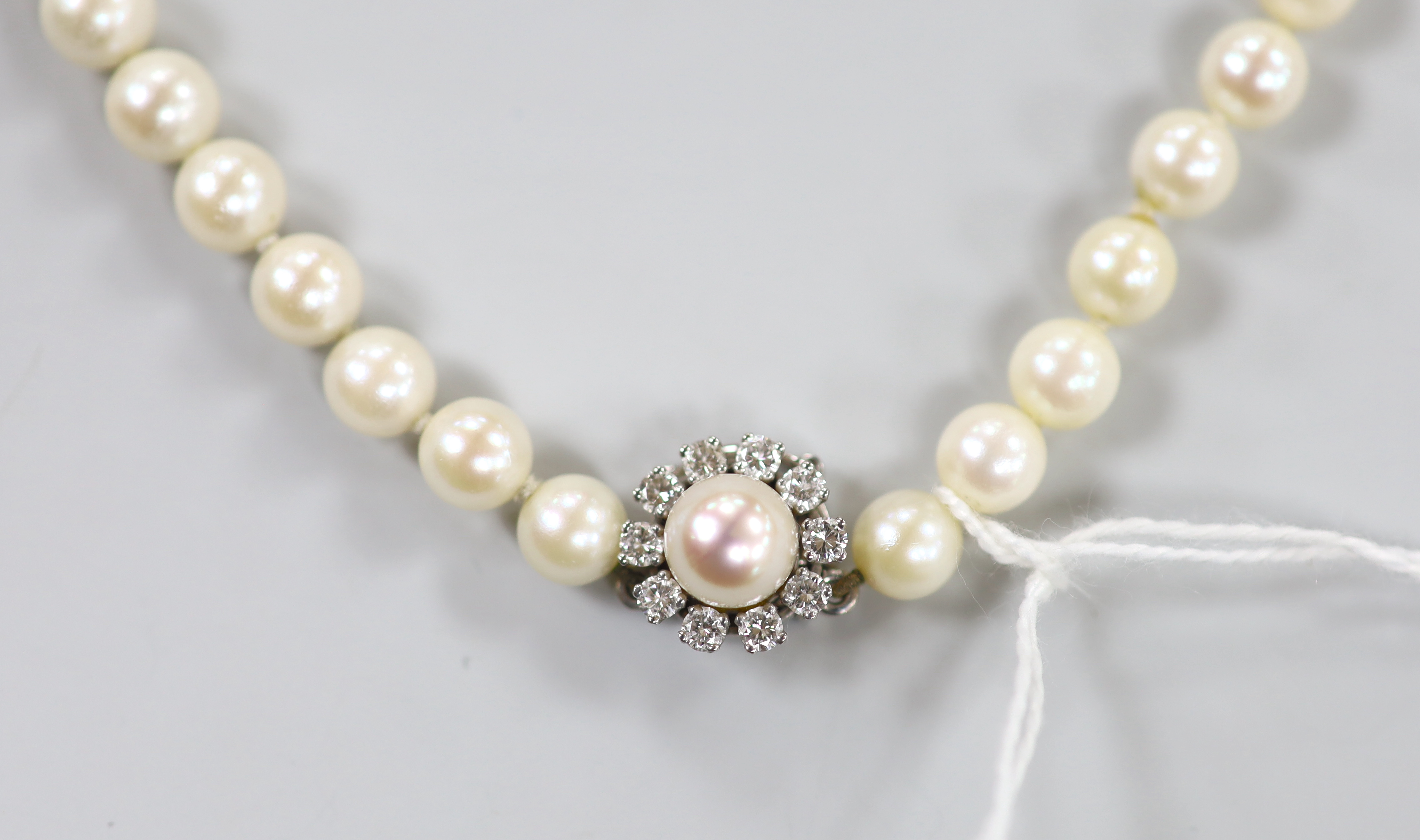 A modern single strand cultured pearl necklace, with diamond and cultured pearl set 750 white metal clasp, 56cm.